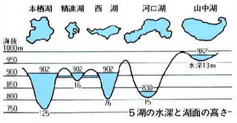 富士五湖の水深と湖面の高さ