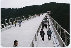 写真4