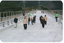 写真6