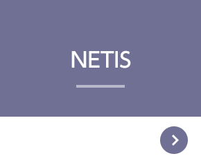 NETIS