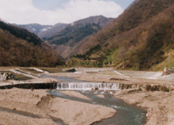現在のナンノ天然ダム