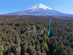 ３月末時点