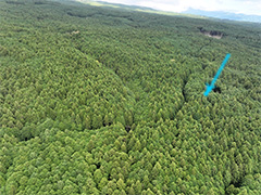 R7.１０月末時点