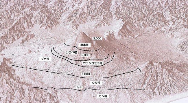 富士山100年プロジェクトより