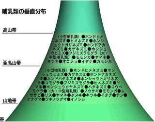 哺乳類の垂直分布