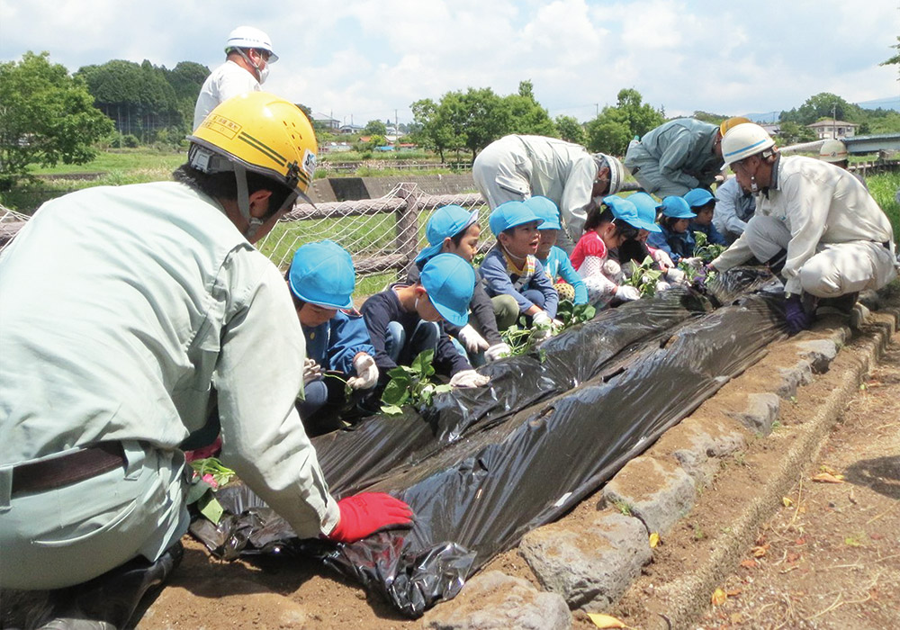 園児とサツマイモ苗の植え付け