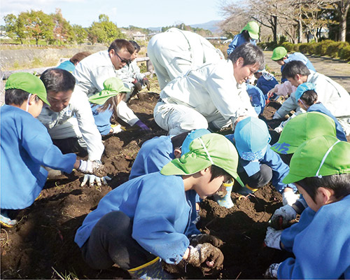 みんなで一緒にイモ掘り