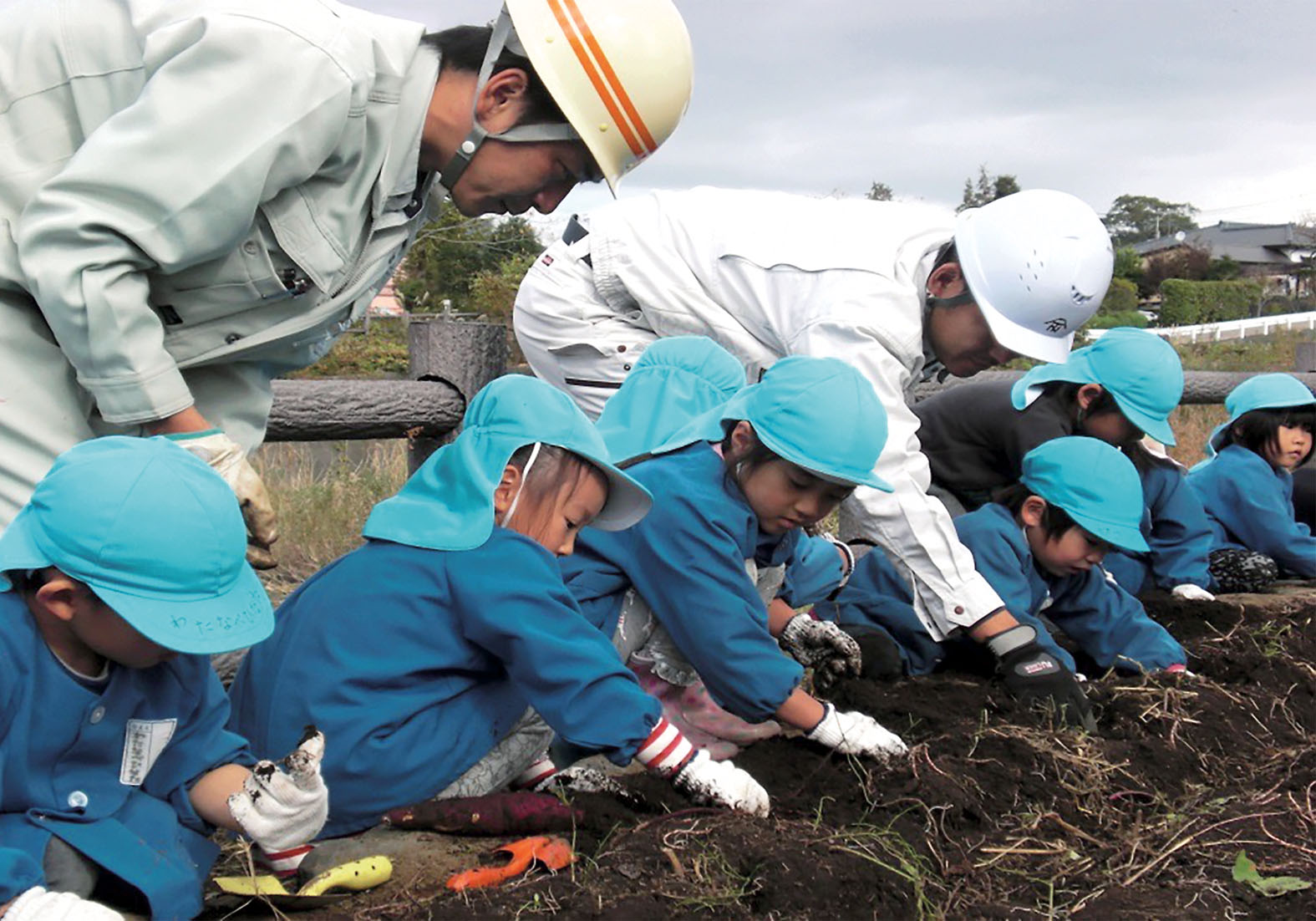 ■11/14 フーちゃん公園で秋の収穫