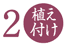 うえ付け