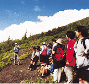 大沢崩れと御中道見学会