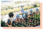 フーチャン公園にて園児による花植え状況写真