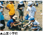 山宮小学校の移植状況写真