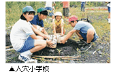 人穴小学校の移植状況写真