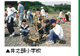 井之頭小学校の移植状況写真