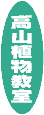 タイトル 高山植物教室