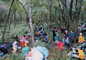 大沢遊砂地樹林帯でドングリ集めの写真