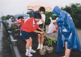 雨の中、みんな頑張って植樹しました
