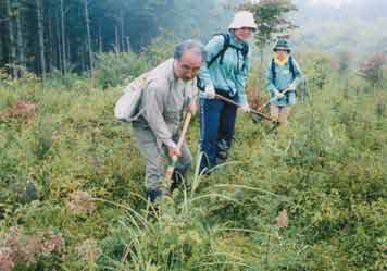 富士山自然の森づくり （NPO） の仁藤事務局長から下草狩りの手ほどきを受けている