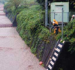 大沢川流路工で採水調査