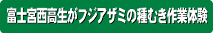 富士宮西高生がフジアザミの種むき作業体験!!