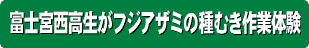 富士宮西高生がフジアザミの種むき作業体験！！