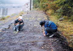 写真-3：フジアザミを計測する増沢教授 （大滝圃場）