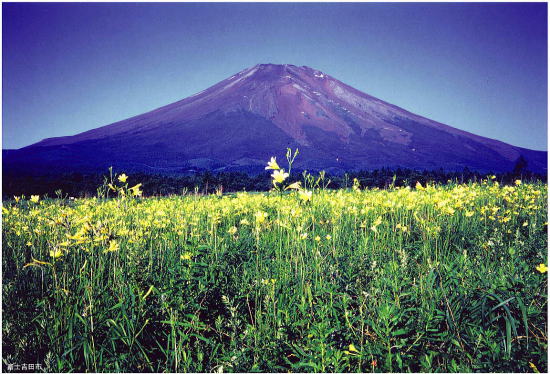 富士吉田市から眺める富士山