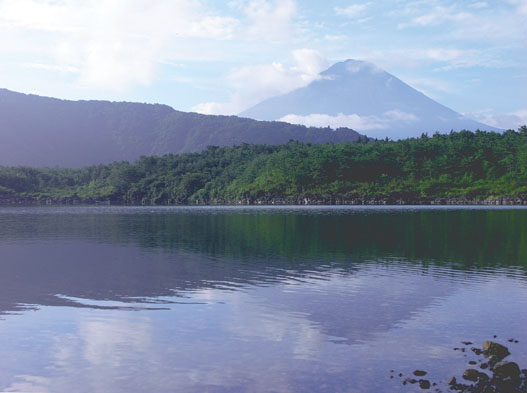 写真　西湖北岸より富士山を望む（写真提供　青嶋　庄示氏）