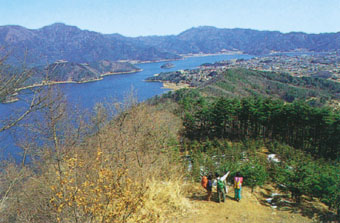 写真　足和田山から見た河口湖と御坂山塊