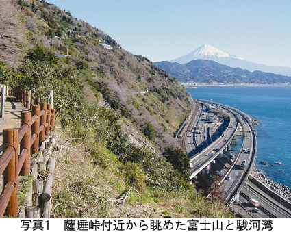 写真1　薩た峠付近から眺めた富士山と駿河湾