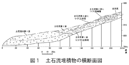図1　土石流堆積物の横断面図