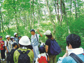 樹林帯での森林教室の写真