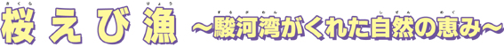 桜えび漁～駿河湾がくれた自然の恵み～