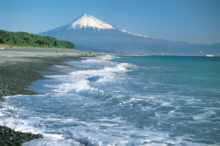 三保松原からの富士山