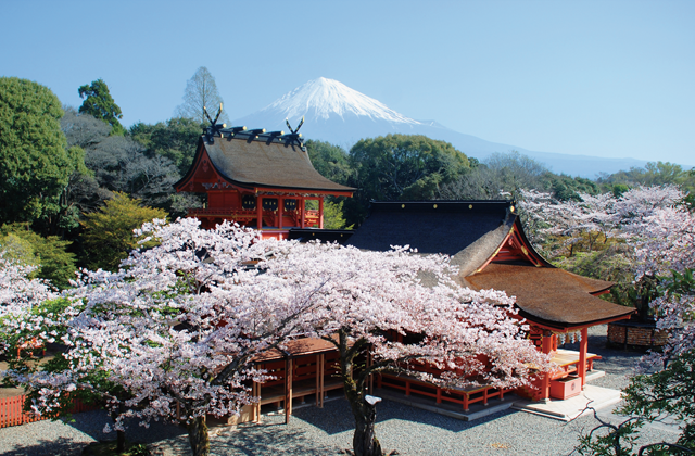 富士山本宮浅間大社（富士宮市）