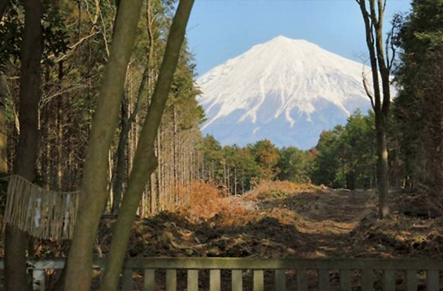 山宮浅間神社（富士宮市）