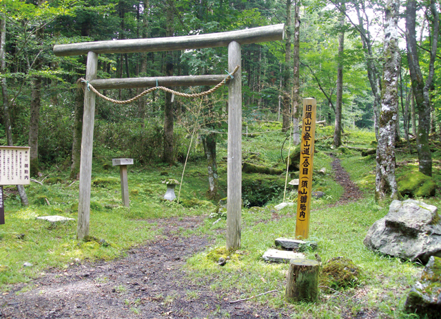 須山口登山道