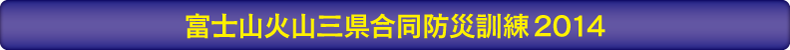 空から大沢崩れを調査