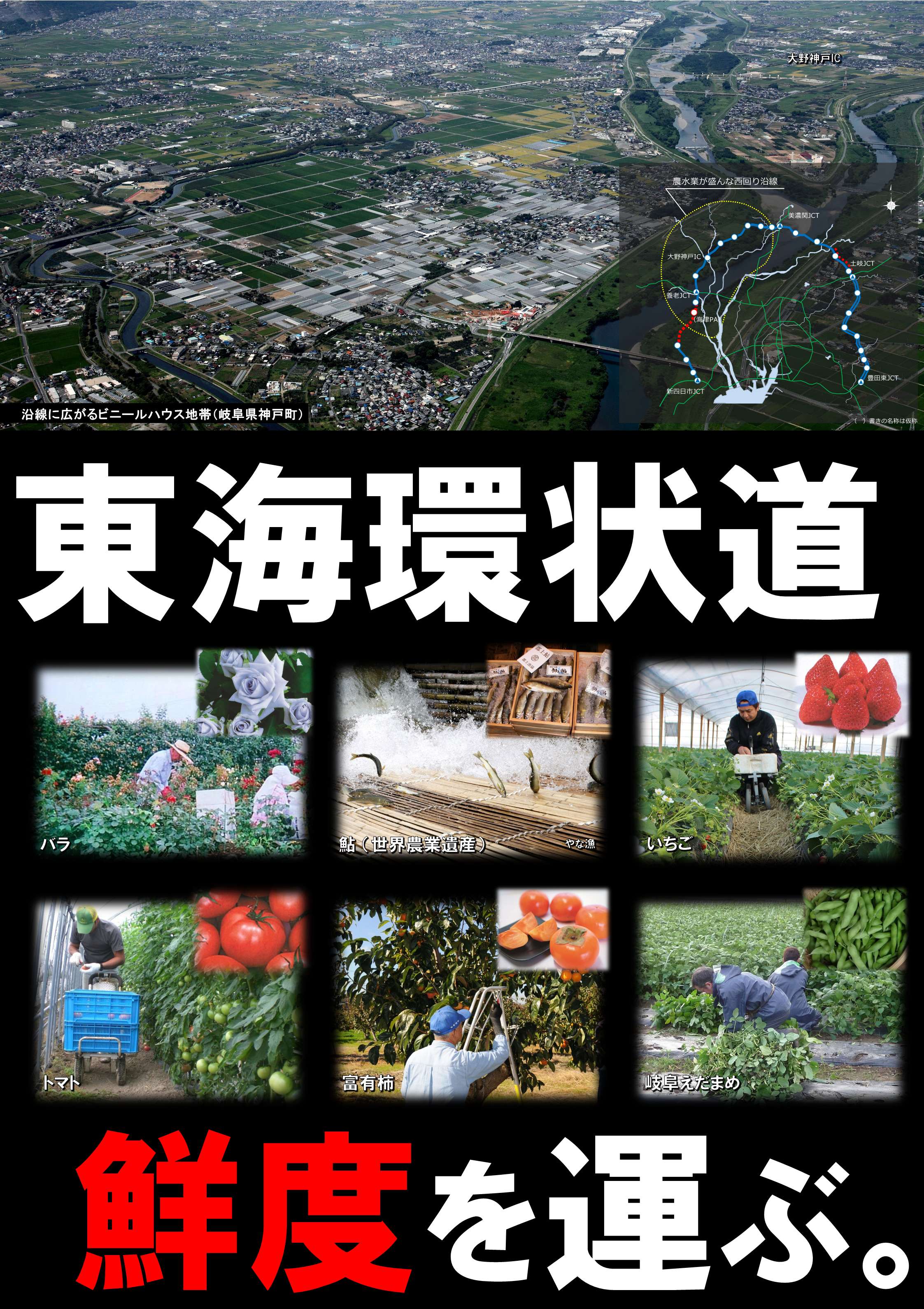 鮮度を運ぶ