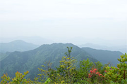 局ヶ岳