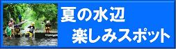 夏の水辺　楽しみスポット