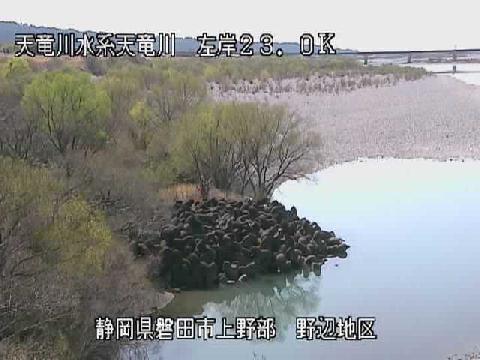 通常時ライブカメラ画像