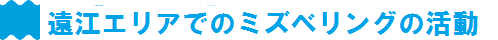 遠江エリアでのミズベリングの活動