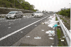 �������̎U����