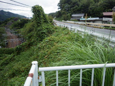 歩道の設置