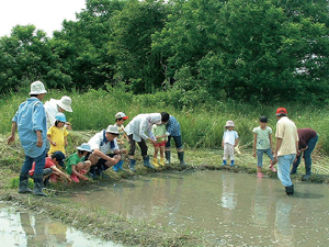 愛知県下水道科学館における下水処理水を活用したビオトープづくり