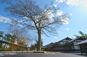 太田宿中山道会館