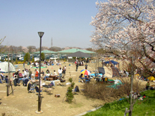 一宮市レンタサイクル