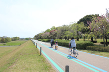 イベント情報