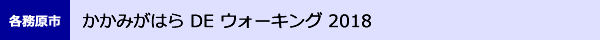 かかみがはら DE ウォーキング 2018